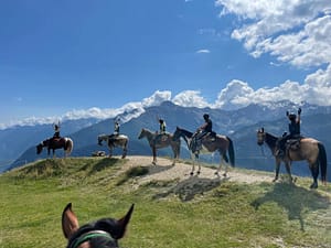 Settimana a cavallo con la monta western